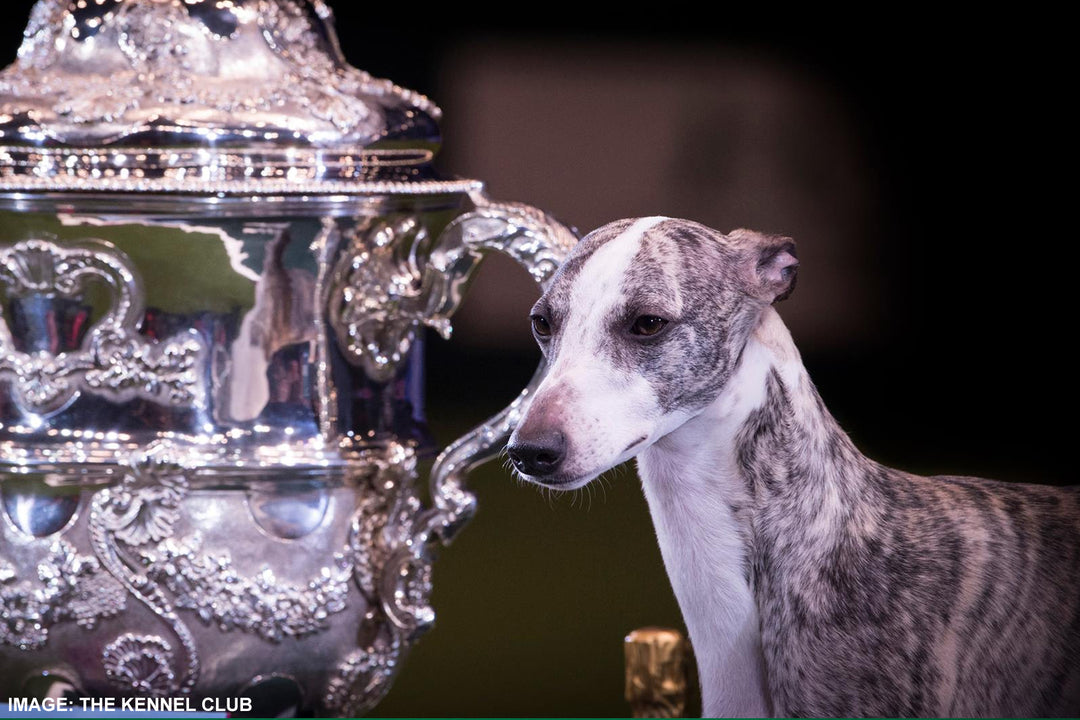 Crufts