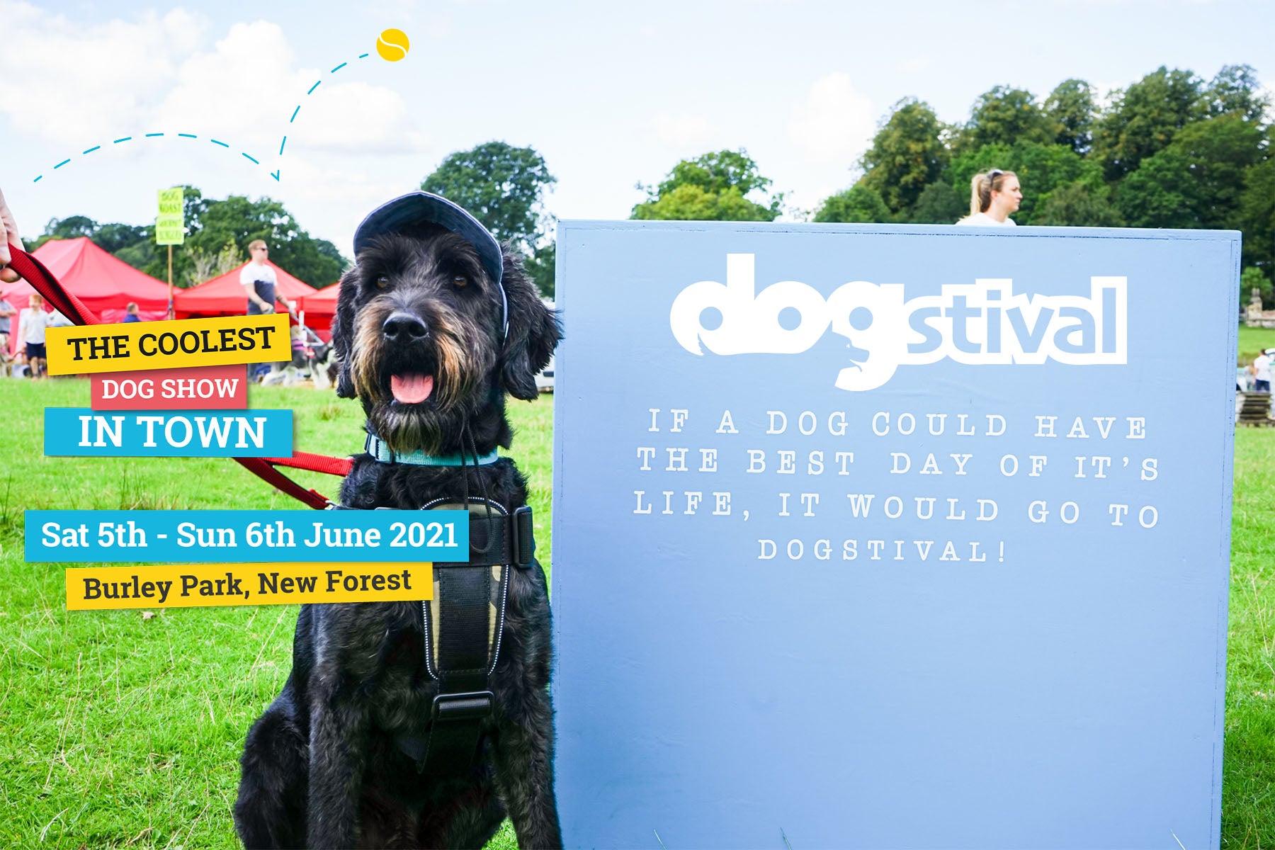 Join us at Dosgtival - we have 20 pairs of tickets to give away!