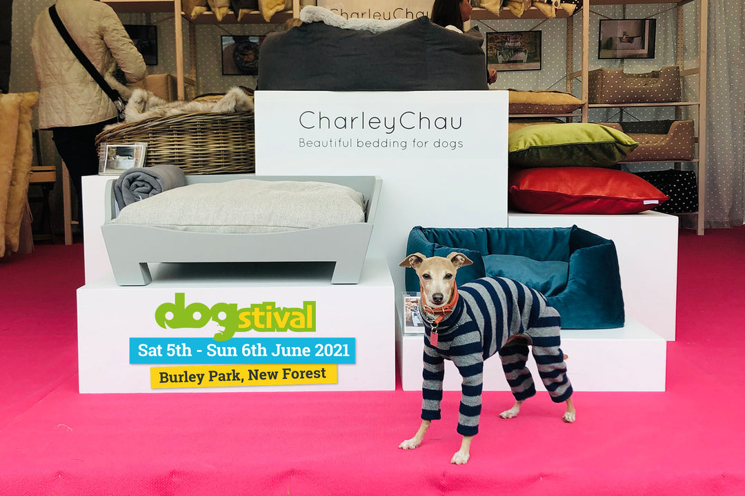 Dogstival 2021 Ticket Draw - Winners Announced!