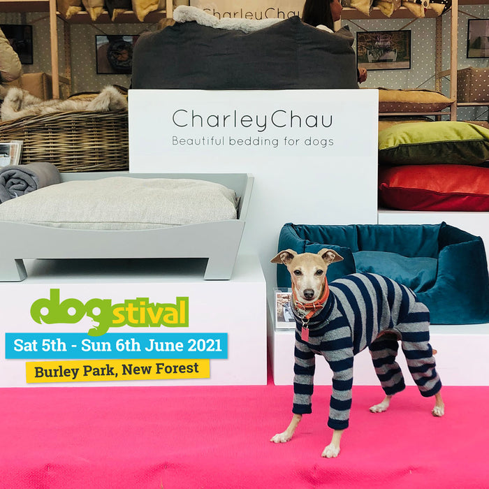 Dogstival 2021 Ticket Draw - Winners Announced!
