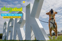 Dogstival - worth getting out of bed for - Charley Chau - luxury dog bedding