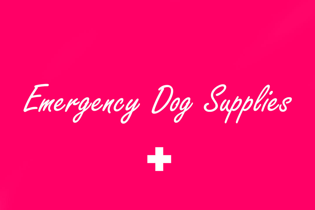Emergency Dog Supplies now available