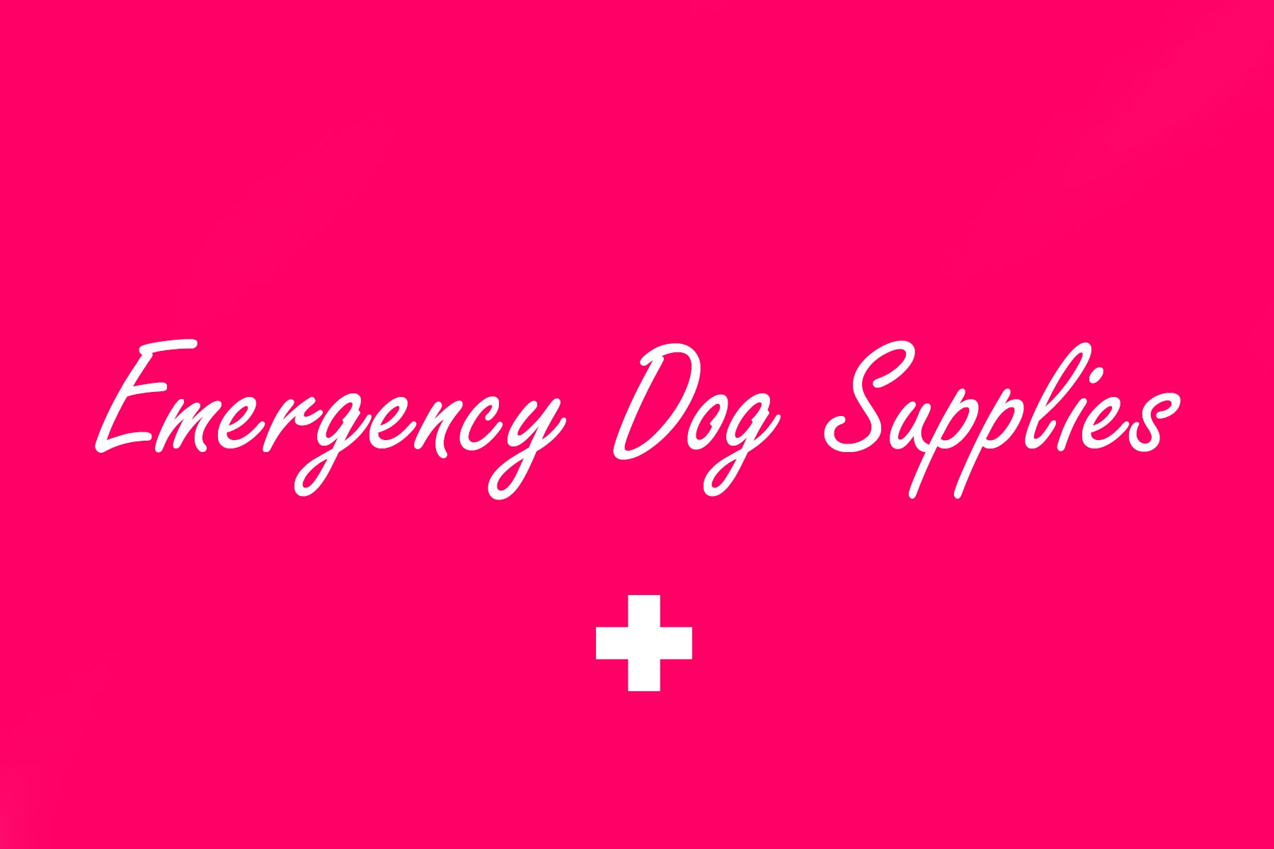 Emergency Dog Supplies now available