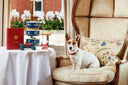 Ideas for Doggy Date Night – go gourmet! - Charley Chau - luxury dog bedding