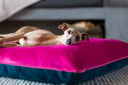 In Memoriam: Charley - Charley Chau - luxury dog bedding