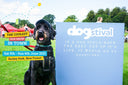 Join us at Dosgtival - we have 20 pairs of tickets to give away! - Charley Chau - luxury dog bedding