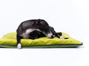 Just launched! New Travel Pads and Burrow Bag Collection! - Charley Chau - luxury dog bedding