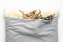 Limited Edition Collection: Cosmo for A/W 2019 - Charley Chau - luxury dog bedding