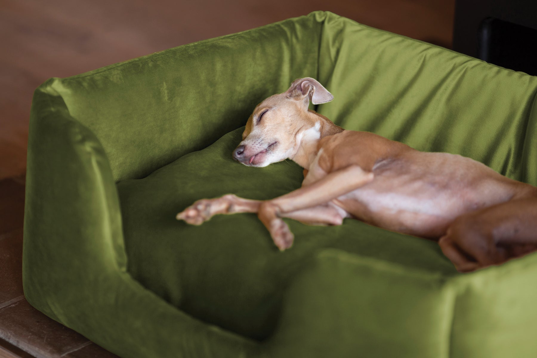 Bring the outdoors in - dog bed styling tips inspired by Mother Nature