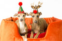 Order dates for Pre-Christmas Delivery 2019 - Charley Chau - luxury dog bedding