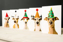 Our Christmas Cards are back! - Charley Chau - luxury dog bedding