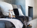 Our stay at The Pump Station, Dungeness, Kent - Charley Chau - luxury dog bedding
