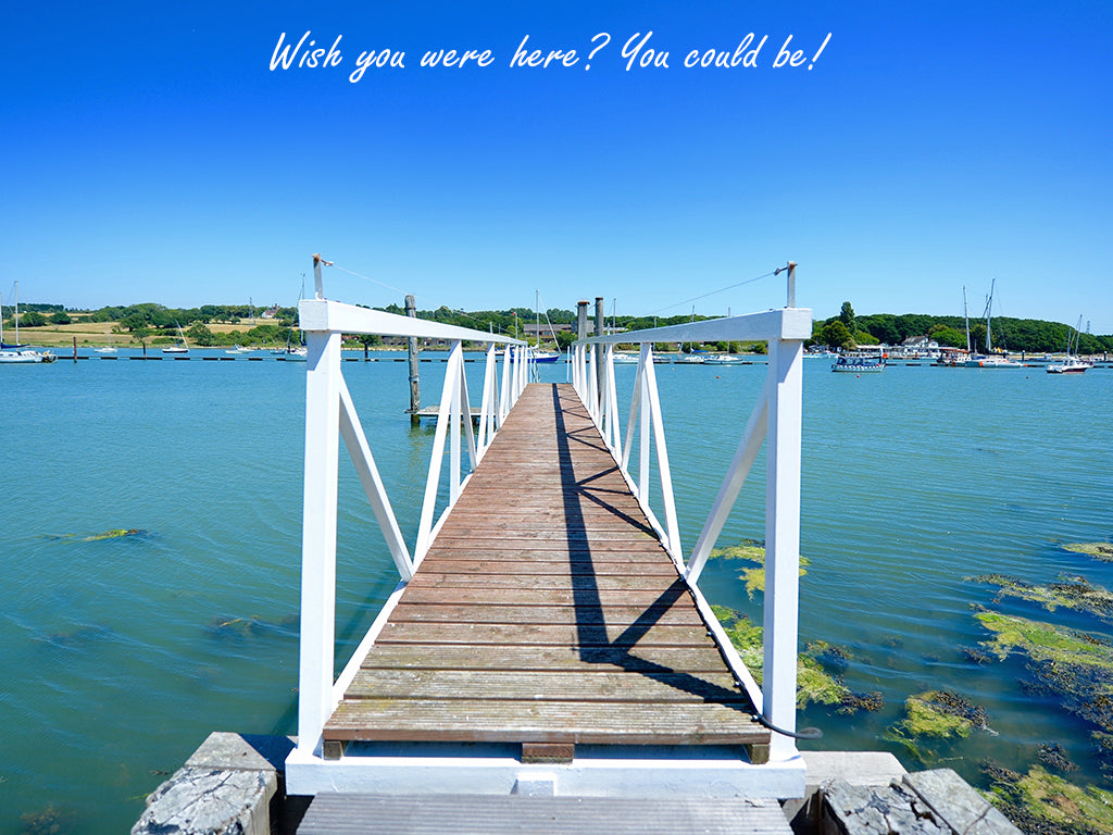 #mycharleychau 10th Birthday Competition - win an amazing dogs welcome holiday!