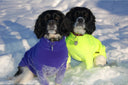 Ten of the Best - Equafleece - Charley Chau - luxury dog bedding