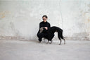 Ten of the Best - Occam - Charley Chau - luxury dog bedding