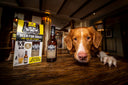 Ten of the Best - Woof & Brew - Charley Chau - luxury dog bedding