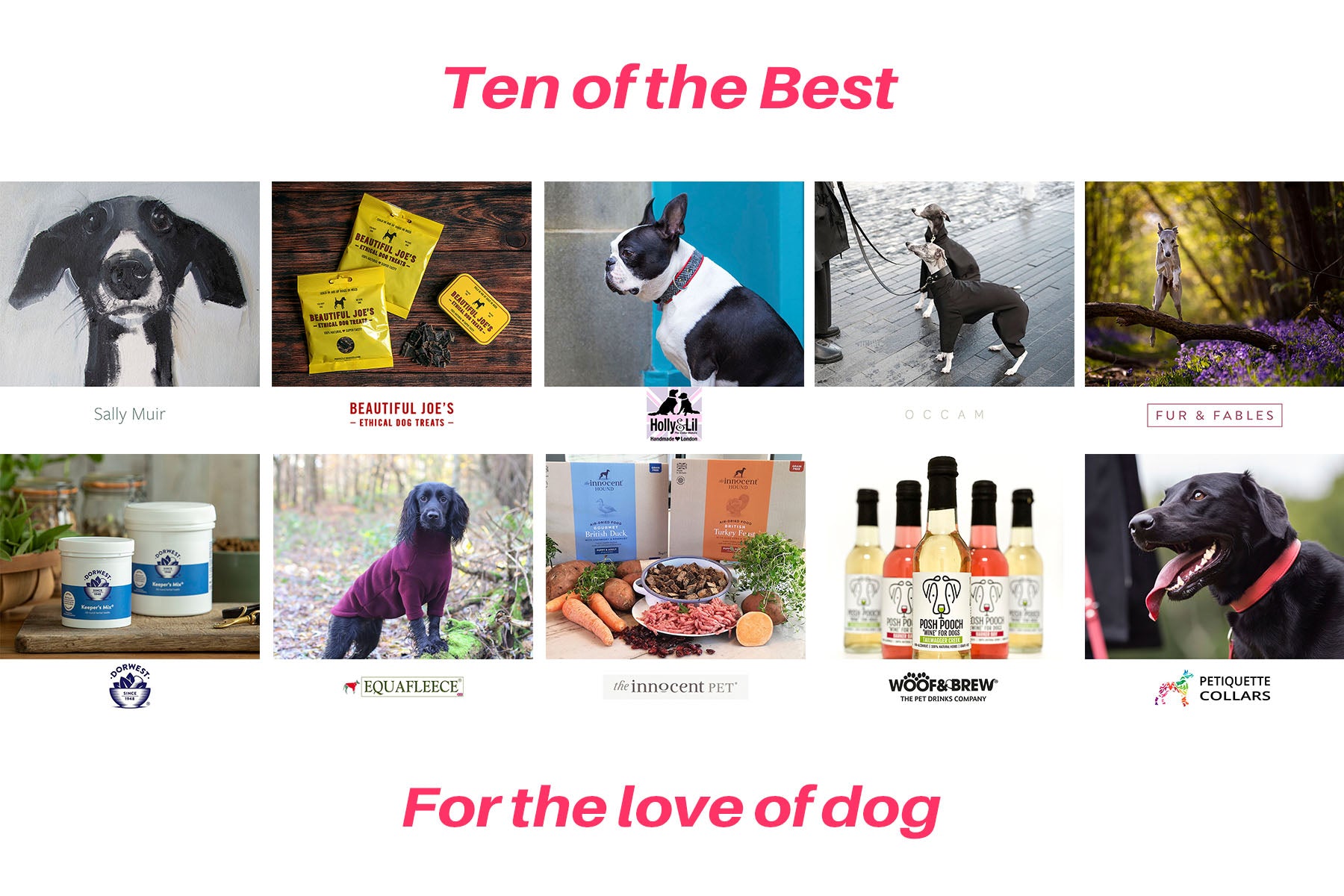 Ten of the Best - brands and people all for the love of dog