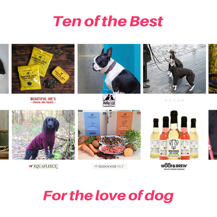 Ten of the Best - brands and people all for the love of dog