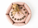 The Big Dougnut Giveaway - win a year's supply of delicious doggie doughnut treats! - Charley Chau - luxury dog bedding
