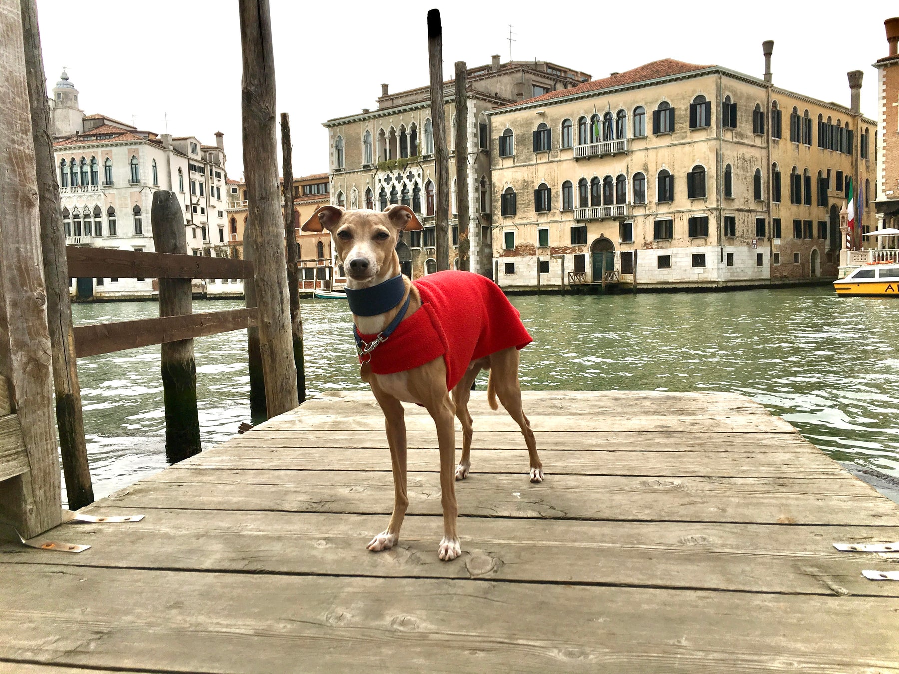 Theo’s mad road trip: Manchester - London – Paris – Venice - and back again