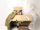 We're hiring! Dispatch Assistant (Part-Time) - Charley Chau - luxury dog bedding