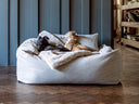 Two small Italian Greyhound dogs sleeping deeply in a very cosy Charley Chau luxury box‑style bolster dog bed in a aple beige, with soft faux‑fur blanket in pale grey, in a stylish wooden‑floored room with a painted wood panelled wall behind the dog bed.