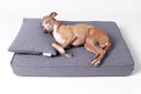 Win a luxe Anti-Microbial Memory Foam Mattress for your dog worth up to £390 - Charley Chau - luxury dog bedding