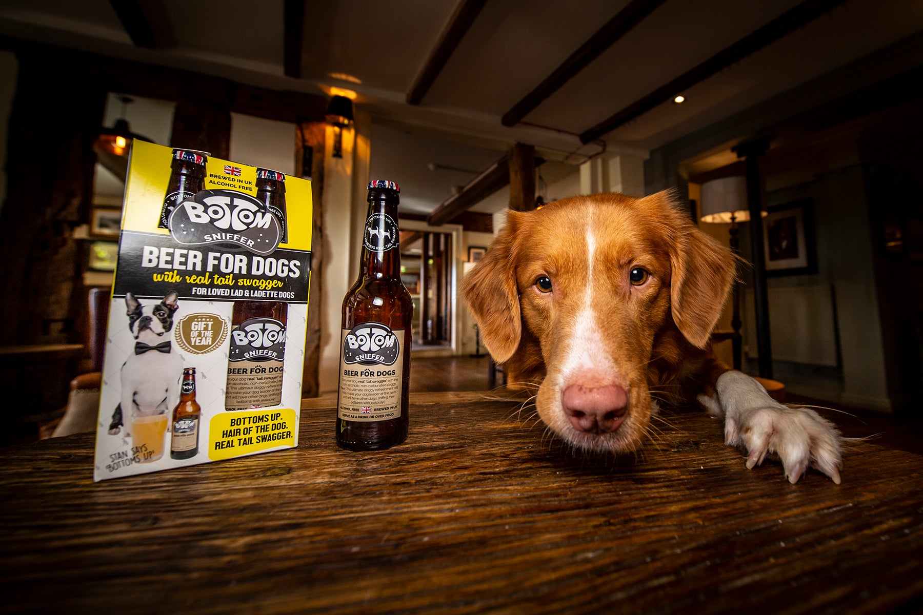 Ten of the Best - Woof & Brew