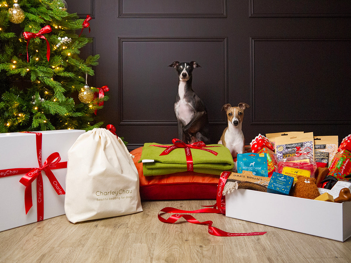 Dog Christmas Hampers & Gift Bags