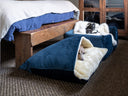 All Luxury Dog Beds - Charley Chau - luxury dog bedding