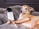 A dog lying on a grey faux-fur dog blanket with a bottle of aromatherpay scented pet bed refresher.