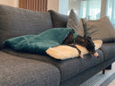 Burrow Bags for Dogs - Charley Chau - luxury dog bedding