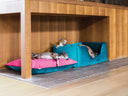 Three dogs sleeping in two velvet pet beds in teal and fuchsia velvet placed under a wooden kitchen island in a modern home