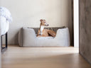 A dog lying inside a Charley Chau Deeply Dishy luxury dog bed in pale grey velvet in a modern bedroom setting with a grey wall and wooden floor.