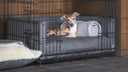 dog crate with luxuey grey dog bed and bed bumpers inside and a fawn italian greyhound in the crate 