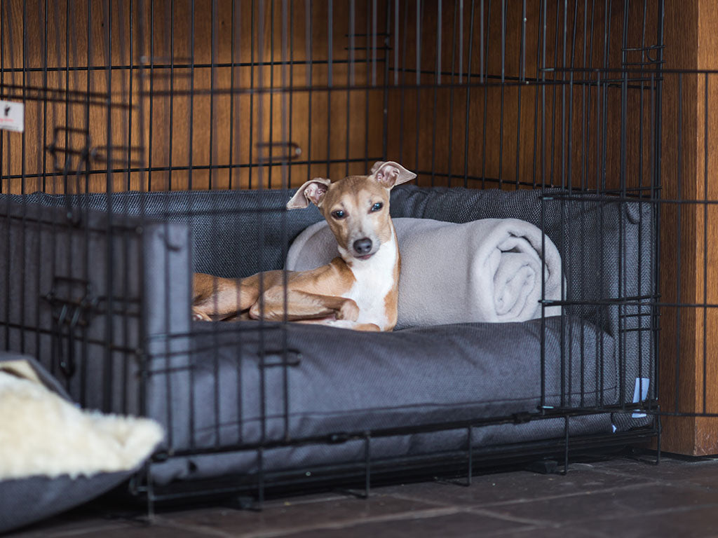 Luxury dog crate bedding by Charley Chau