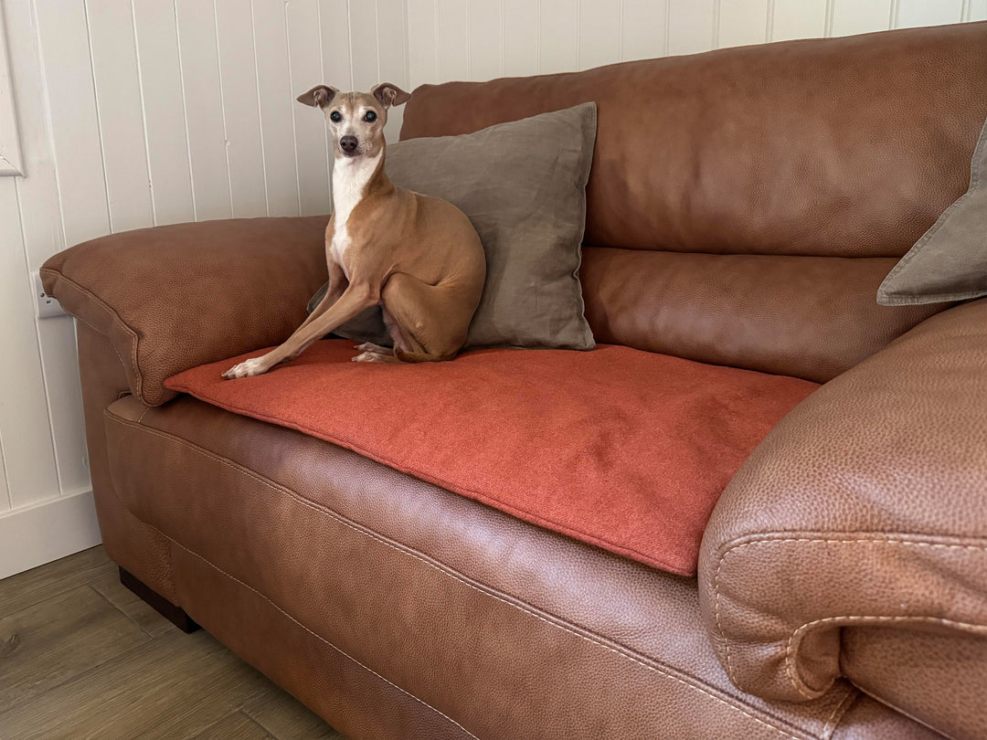Luxury travel dog beds by Charley Chau
