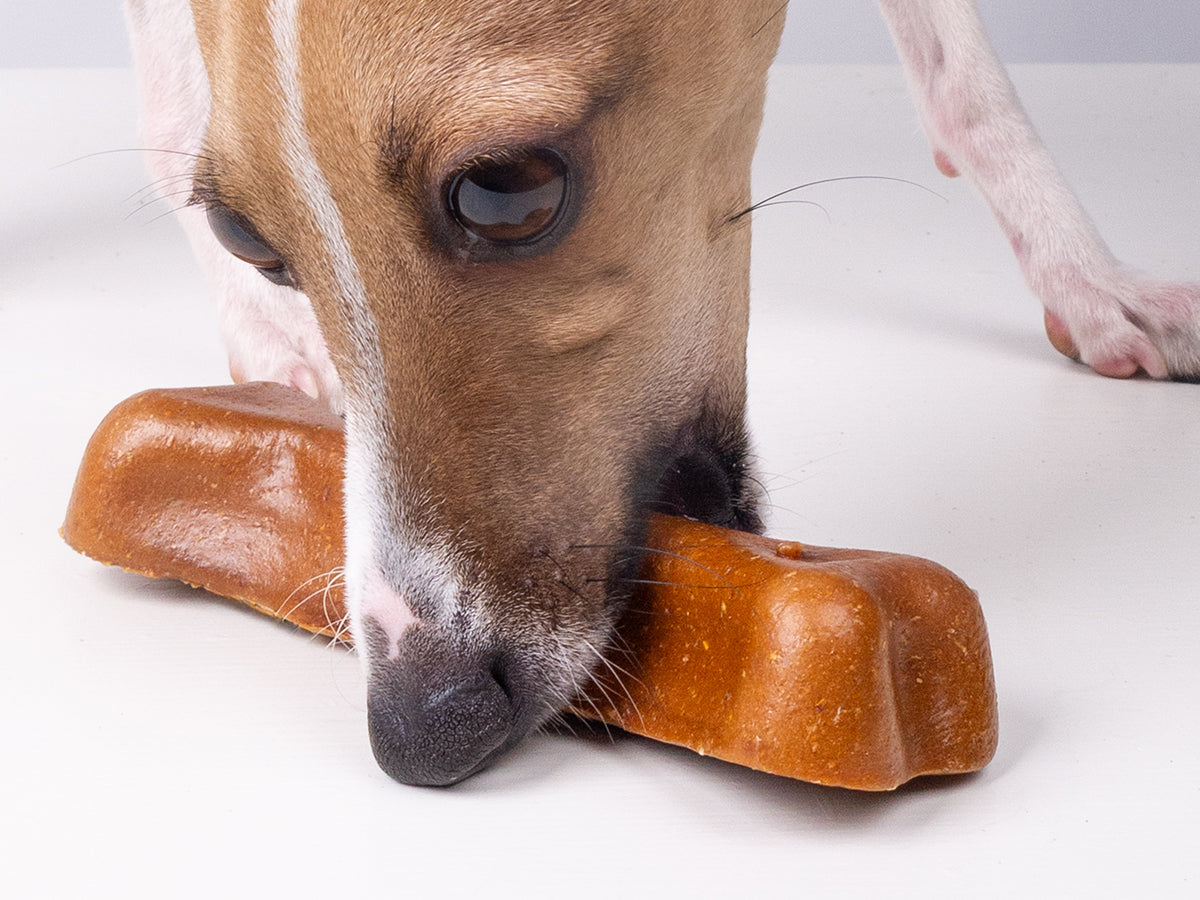 Dog Treats & Dog Chews