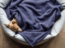 Italian Greyhound dog sleeping very cosyin a round grey donut dog bed covered with a navy fleece blanket.