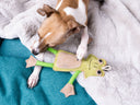 A dog lying on a grey faux-fur dog blanket nin a jade green pet bed playing with a frog dog toy  made from suede