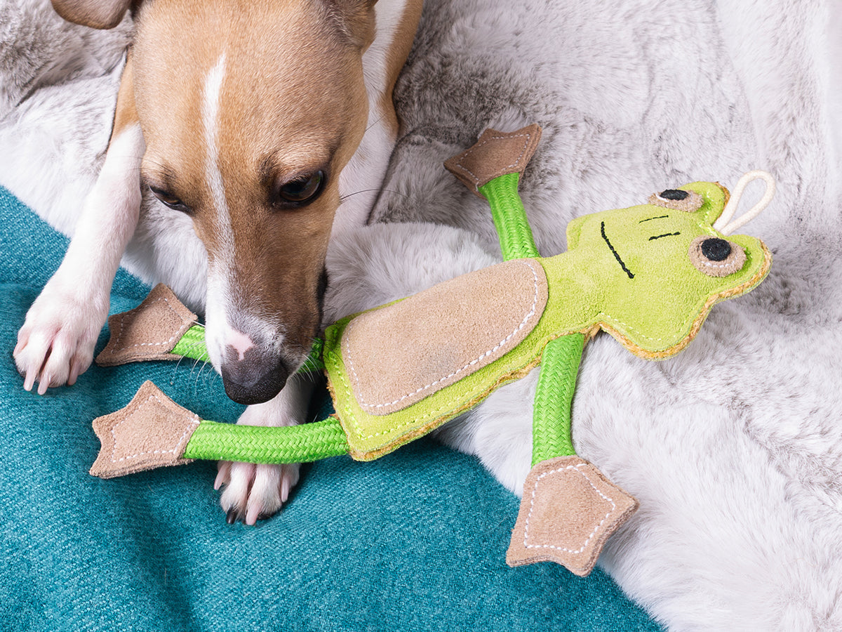 Eco-Friendly Dog Toys