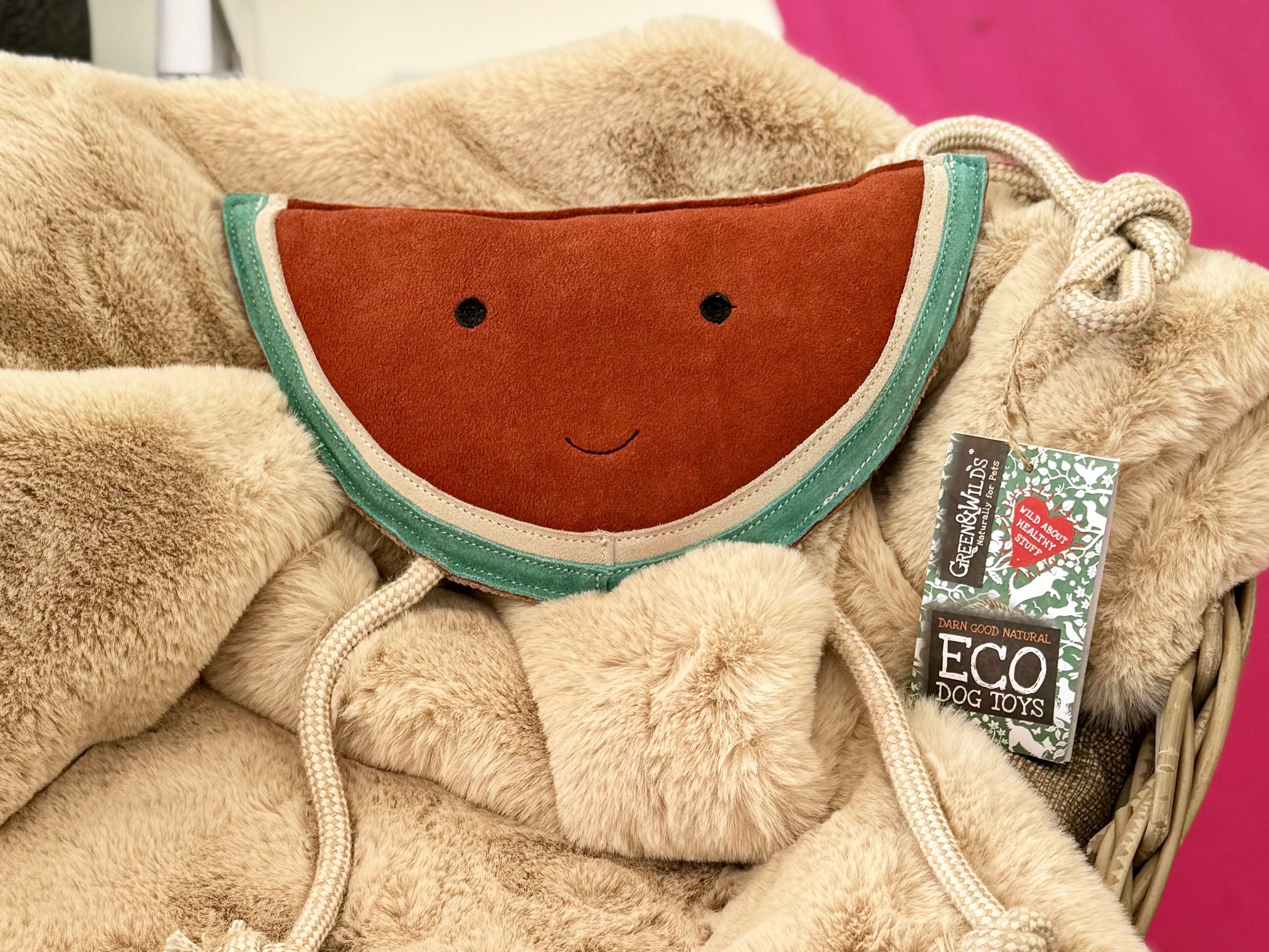 Eco-Friendly Dog Toys