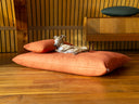 A dog sleeping on an orange dog bed mattress, resting its head on a small orange bolster cushion, in a modern home setting with panelled wood walls and a wooden floor.