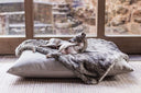 Luxury Dog Beds & Blankets made in England with love