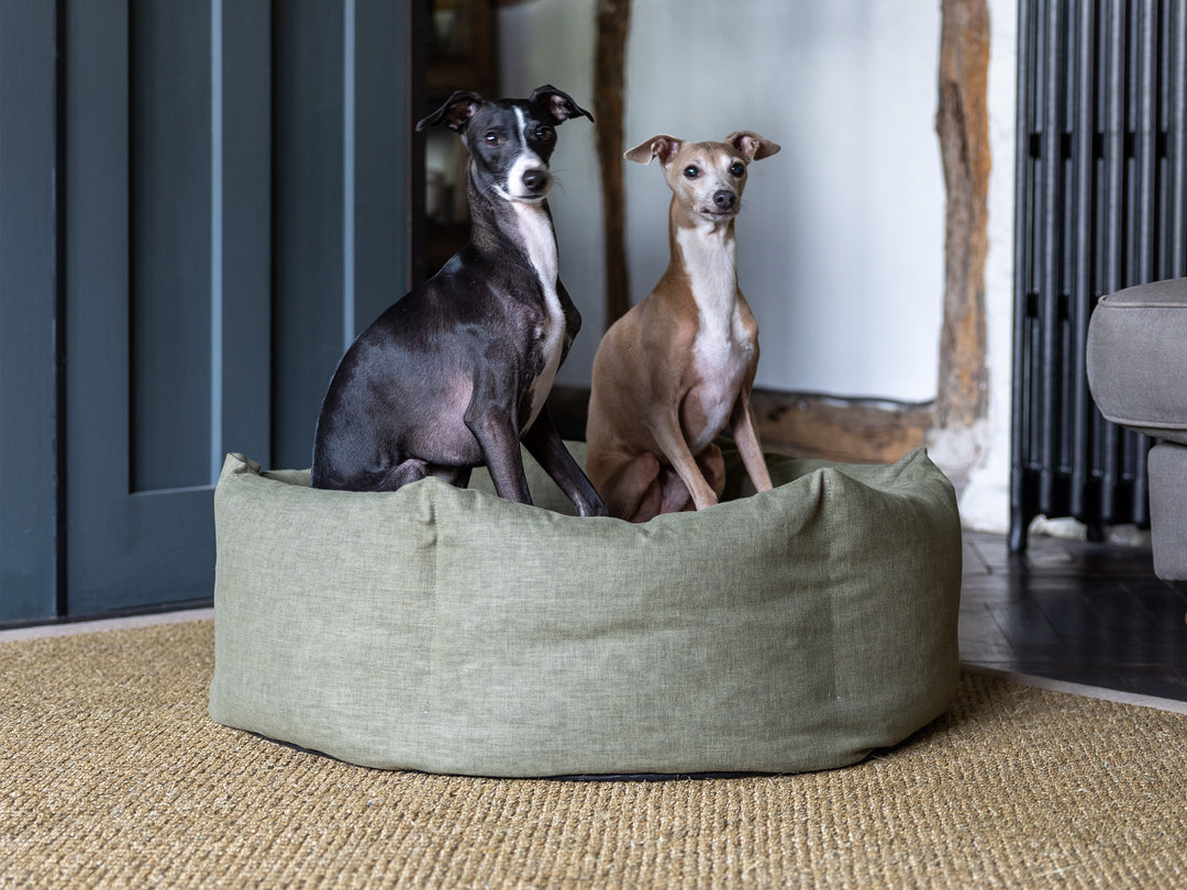 Luxury Dog Beds in Cosmo