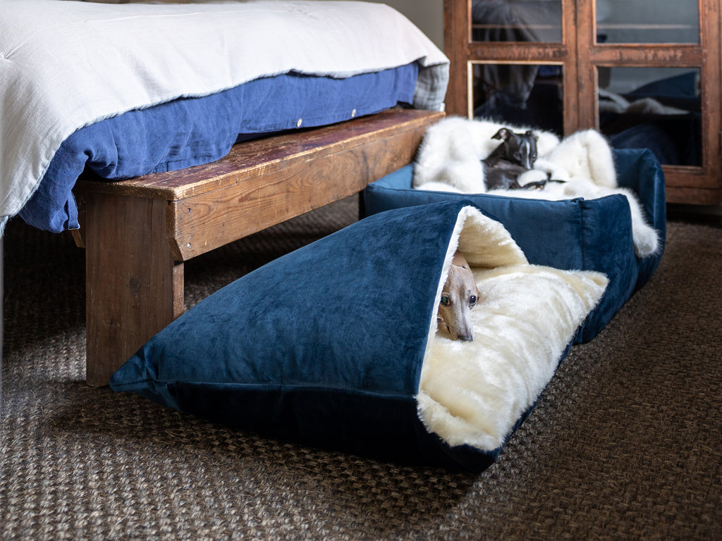 Charley Chau luxury dog bed collection - dog bed in velour teal and pink