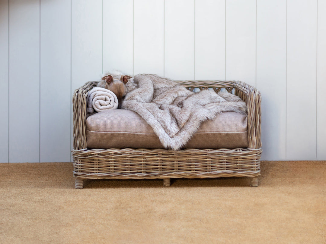 A Raised Rattan Dog Bed, a stylish wicker dog basket, with a deep-filled mattress in beige, and faux-fur blanket in beige, in a hallway with white panelled wall behind the dog bed.