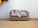 A Raised Rattan Dog Bed, a stylish wicker dog basket, with a deep-filled mattress in beige, and faux-fur blanket in beige, in a hallway with white panelled wall behind the dog bed.