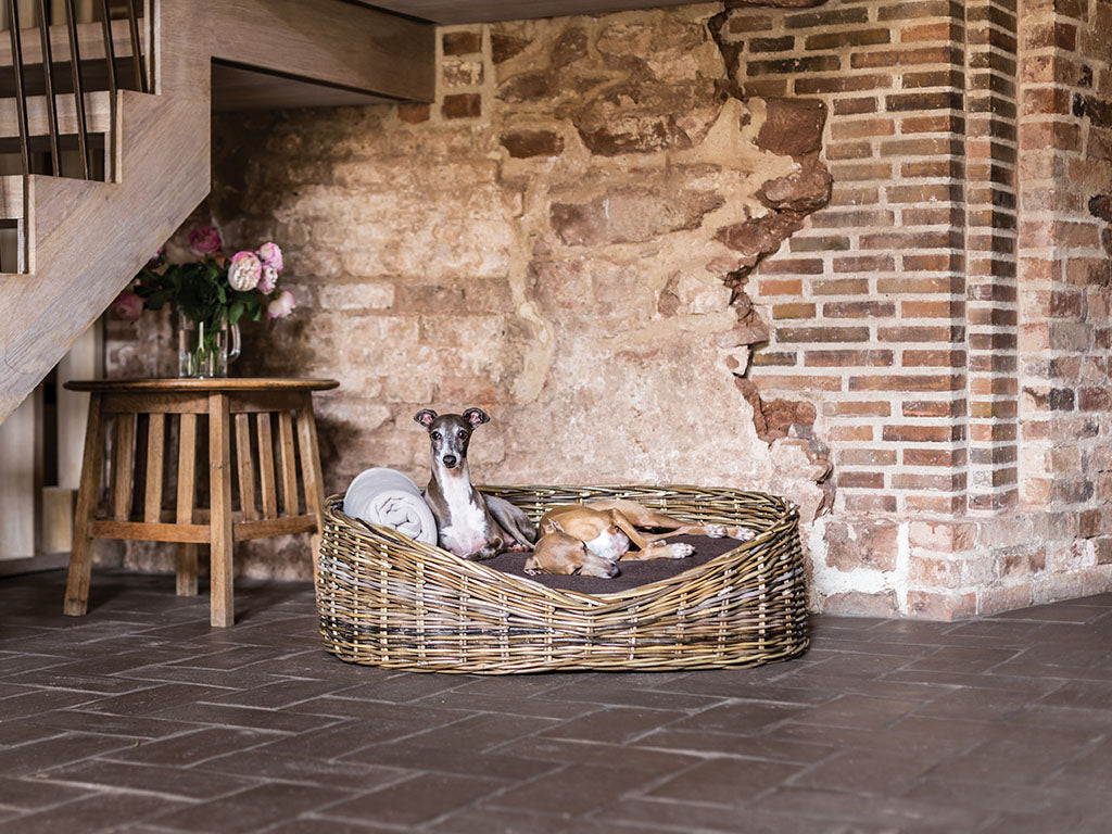 Charley Chau luxury rattan dog basket