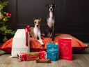 Christmas Gift Bags for Dogs - Charley Chau - luxury dog bedding